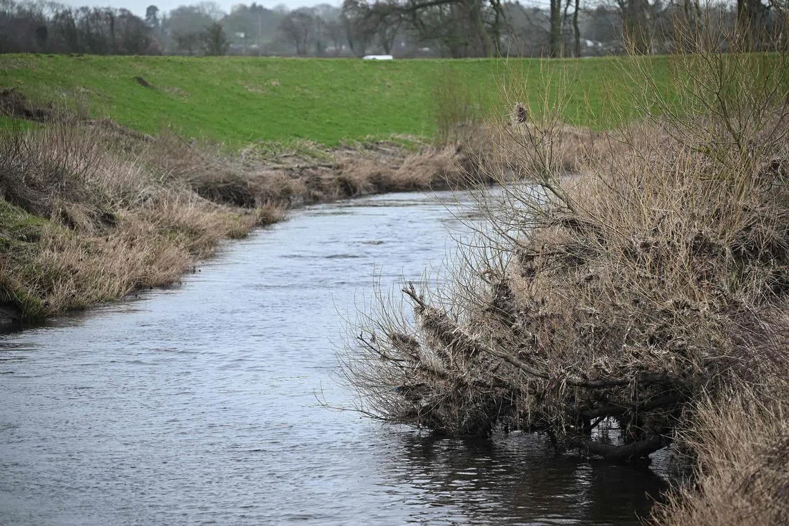  The site on the banks of the River Wyre where the body was discovered on Feb 19, 2023. 