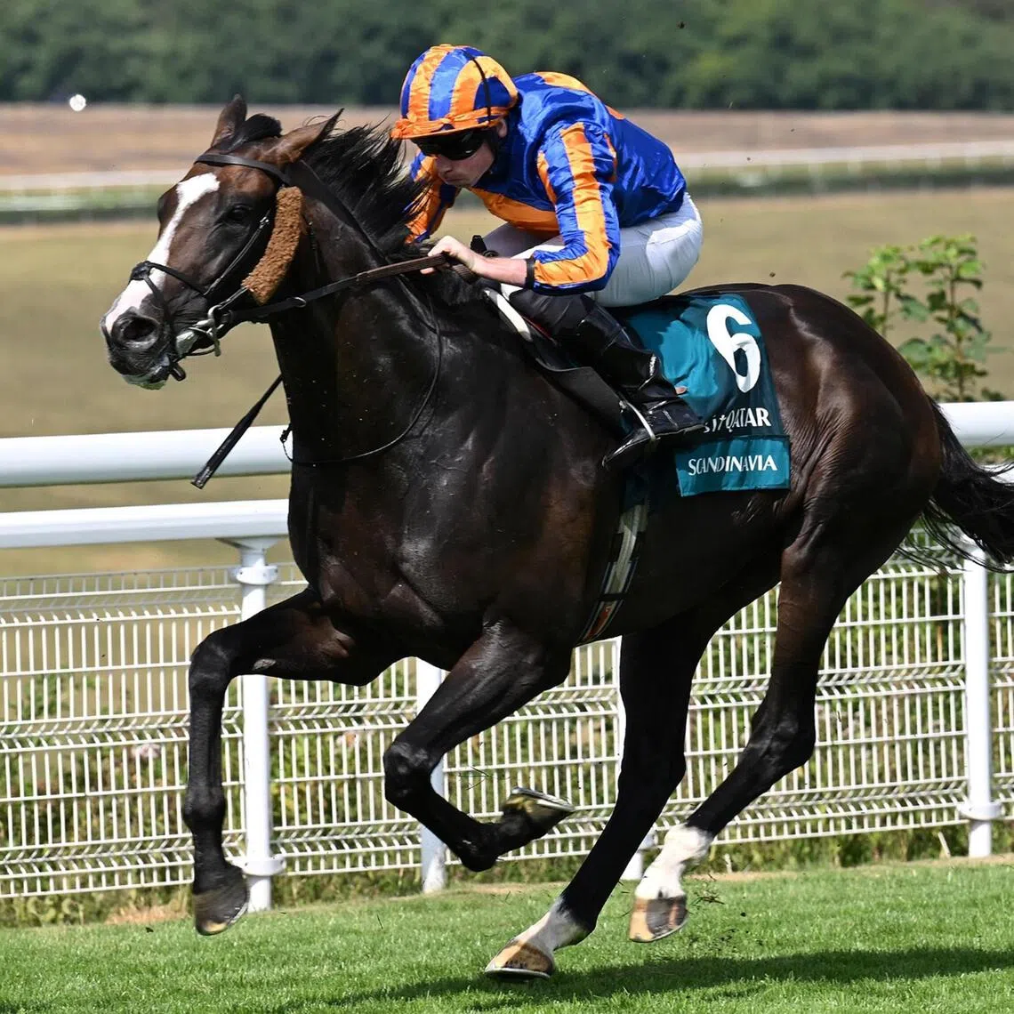 Scandinavia - Scandinavia (Ryan Moore) rallying strongly towards an emphatic win in the Group 1 Goodwood Cup (3,200m) on July 28.

PHOTO: GOODWOOD.COM