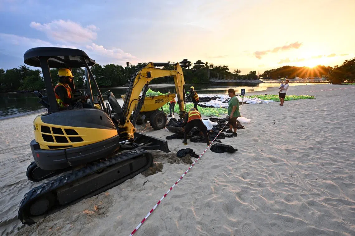 Workers removing bags of sand stained with oil on Sentosa's Palawan beach on June 20.
