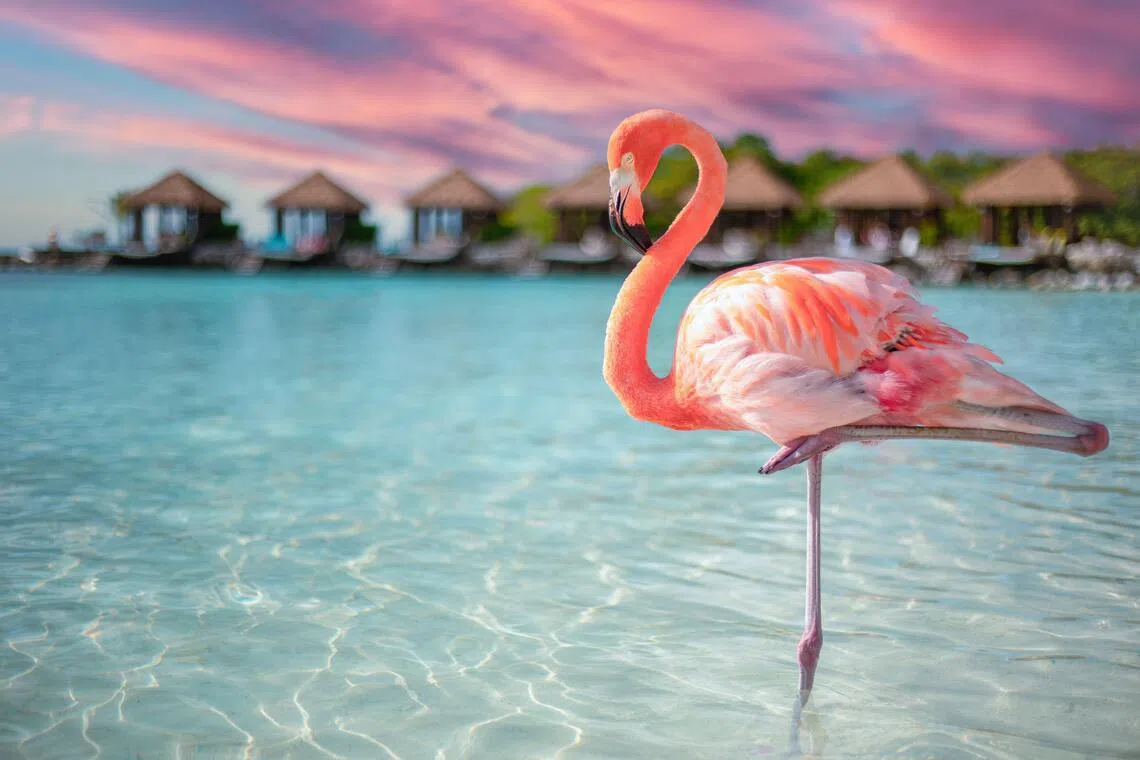 Your favourite thing to do on vacation is making travel worse