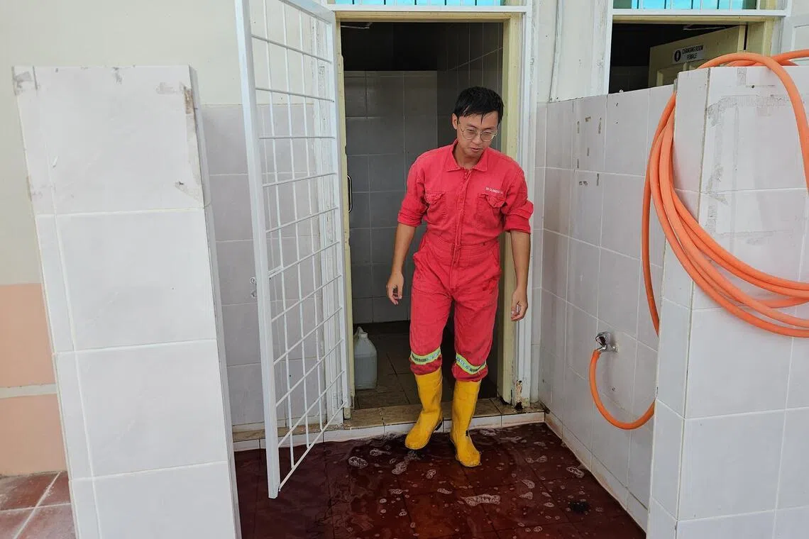 A staff member walking over a disinfectant footbath to minimise the presence of the African swine fever virus in Kuching.