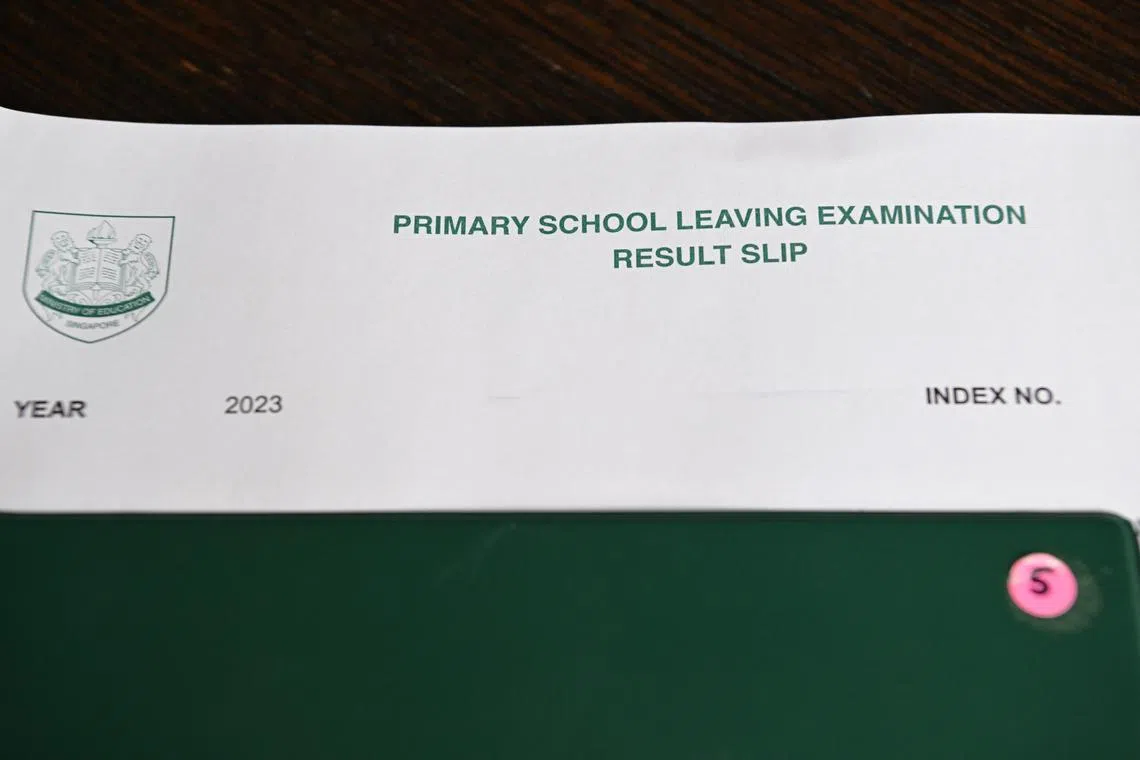 MOE's divisional director of curriculum planning and development Ong Kong Hong and mathematics expert Yeap Ban Har answer several questions posed on the PSLE.