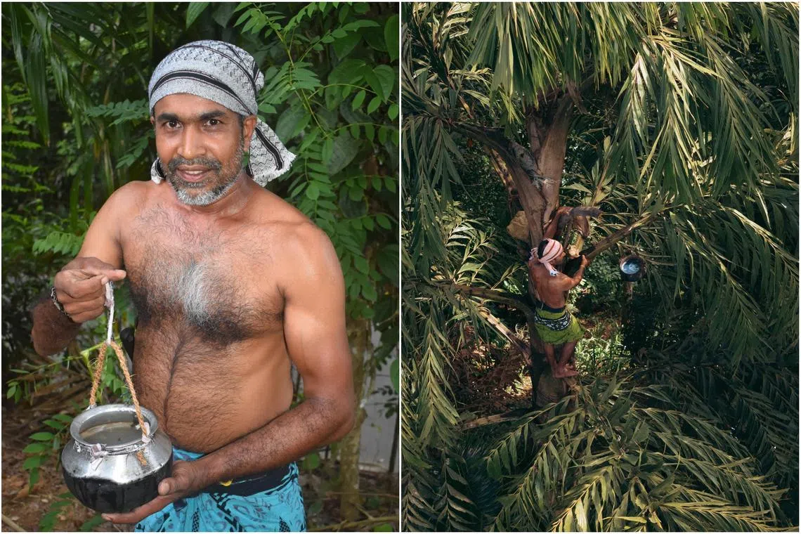 Sri Lanka’s ancient art of toddy tapping finds new life in cocktails and desserts