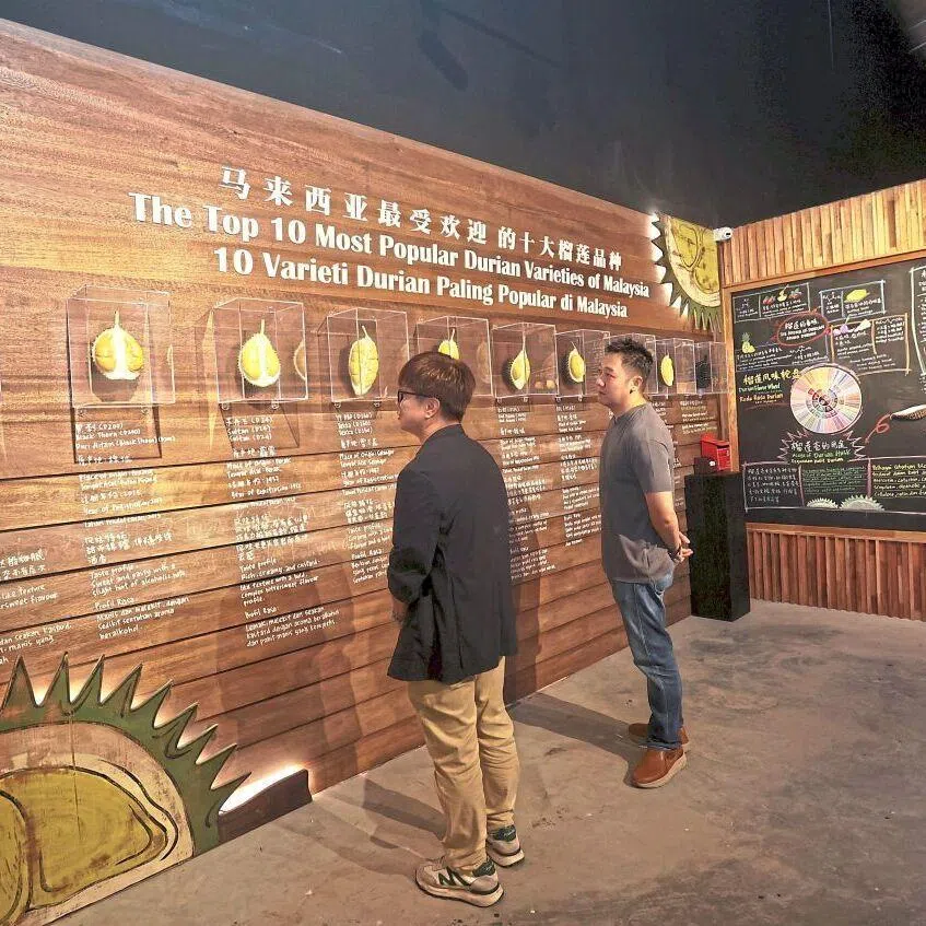 At the KLDEX museum, visitors can experience a recreated durian orchard that illustrates local ecosystems and cultivation methods. 