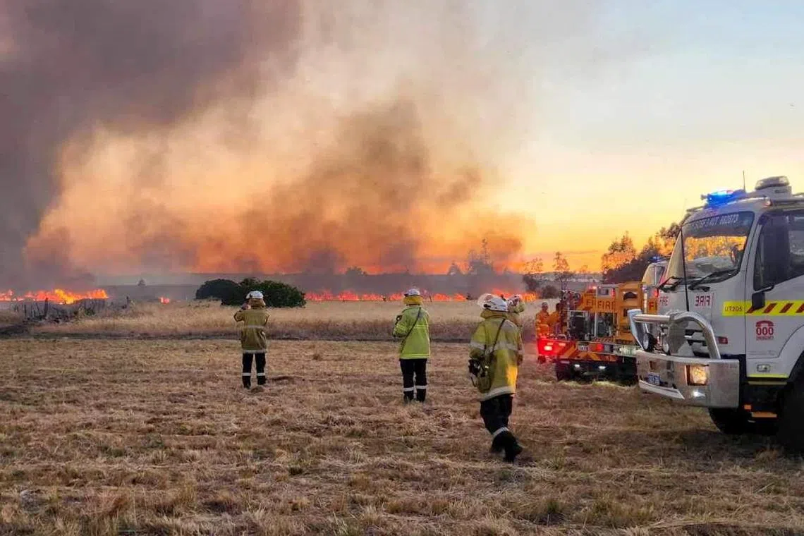 In this photo released by the Western Australia Department of Fire and Emergency Services (DFES) and received by AFP on November 23, 2023, shows firefighters watching a bushfire burn north of the city of Perth. (Photo by Handout / WESTERN AUSTRALIA DEPARTMENT OF FIRE AND EMERGENCY SERVICES / AFP) / ----EDITORS NOTE ----RESTRICTED TO EDITORIAL USE MANDATORY CREDIT "AFP PHOTO / Western Australia Department of Fire” - NO MARKETING NO ADVERTISING CAMPAIGNS - DISTRIBUTED AS A SERVICE TO CLIENTS