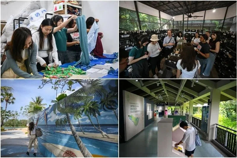 Guided tour at Sentosa, textile recovery workshops among activities in Go Green SG 2026 line-up