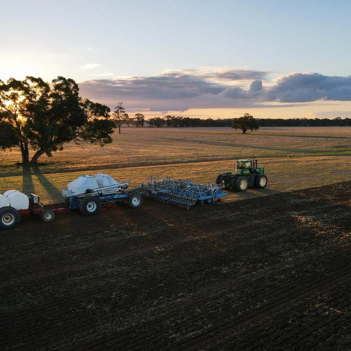 Australia's agricultural bureau is expecting around 26.7 million tonnes of wheat later in 2026, which is nine million tonnes less than last season.