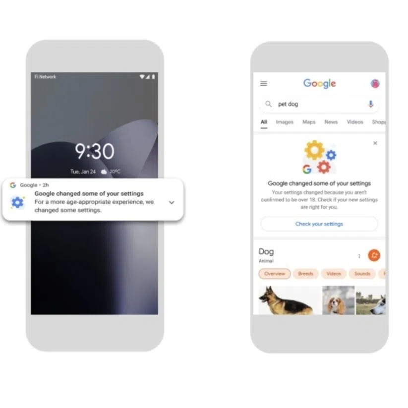 Users who are estimated to be under 18 will be notified via e-mail and while using Google products that their settings have been changed. 