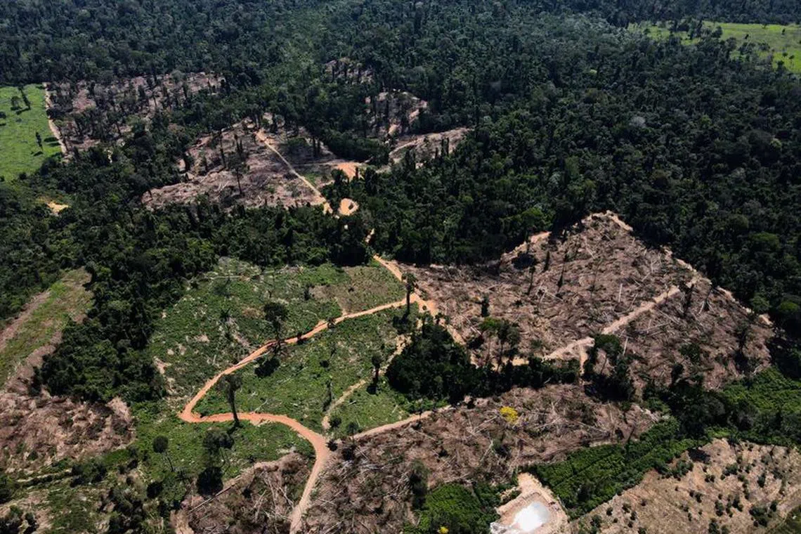 FILE PHOTO: A view shows a deforested area in the middle of the Amazon Forest near the BR-230 highway, known as Transamazonica, in the municipality of Uruara, Para, Brazil, July 14, 2021. To match Special Report GLOBAL-PANDEMICS/BATS-SPREAD REUTERS/Bruno Kelly/File Photo