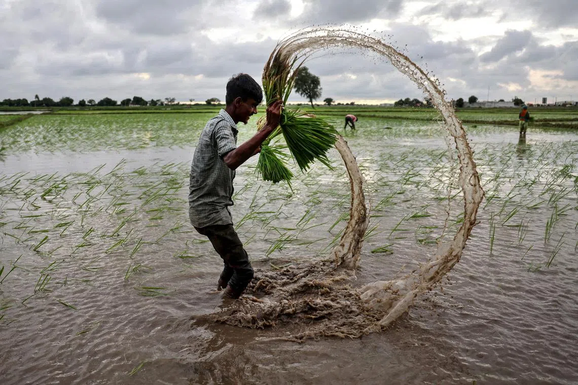 Malaysian Agriculture and Food Security Minister Mohamad Sabu said nearly 40 per cent of the country’s imported rice came from India and Pakistan.