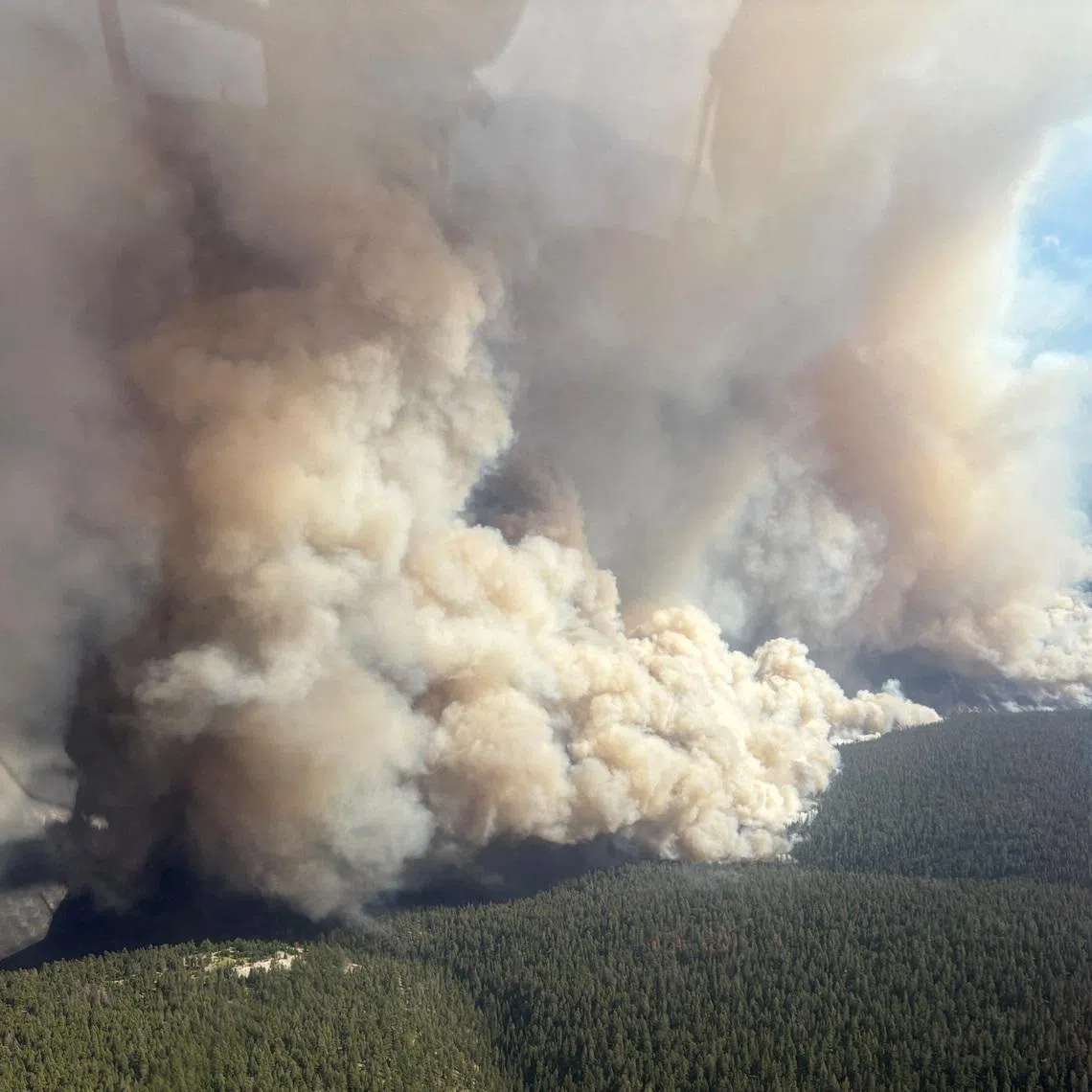 Roughly 2.4 million ha have burned during this wildfire season in Canada, according to government data.