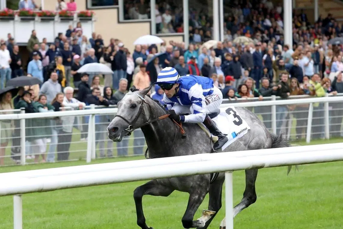 Sir Tommy Cen (Aureline Lemaitre) scoring an easy win in the Group 3 Badener Mile (1,600m) in Baden-Baden on July 4. The Group 1 Prix Jacques Le Marois (1,600m) in Deauville on Aug 16 is a different kettle of fish, but the Spanish connections are game.


PHOTO: WETTSTAR.DE/MARC RUHL