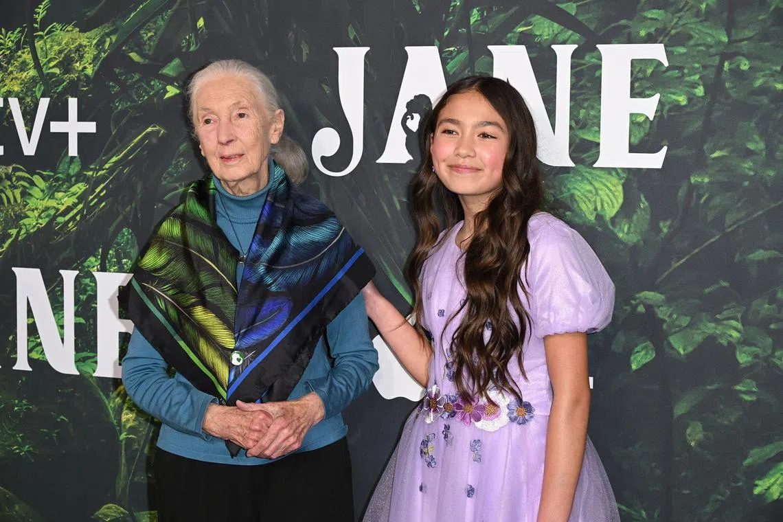 English primatologist/anthropologist doctor Jane Goodall and actress Ava Louise arrive for the premiere of Apple original series "Jane" at the California Science Center in Los Angeles, on April 14, 2023. (Photo by Robyn BECK / AFP)