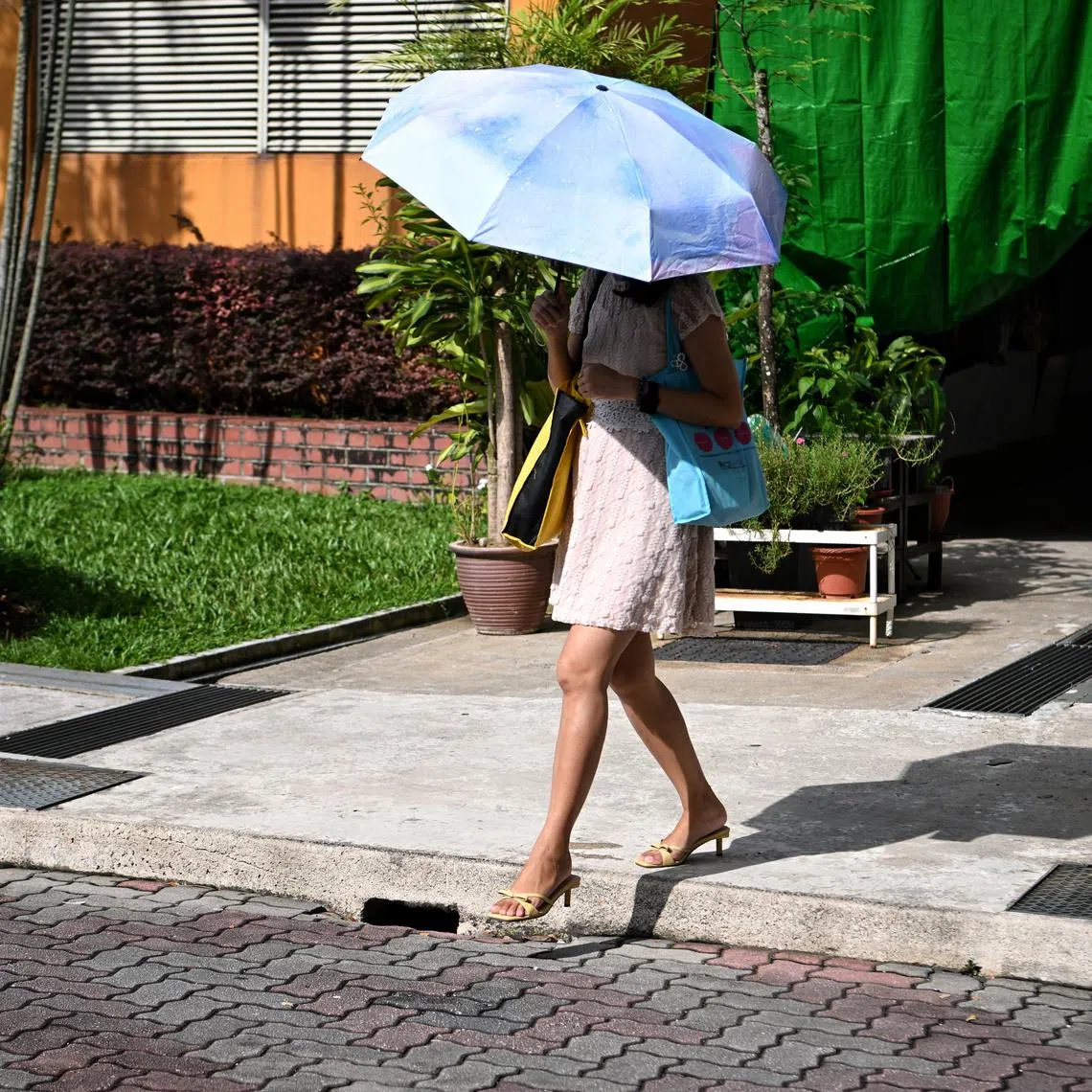 In Singapore, we are experiencing rising sea levels, extreme heat and climate-related health risks, says the writer. 