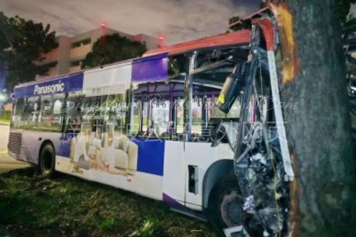 A 58-year-old public bus driver died after his bus crashed into a tree late on Nov 21.