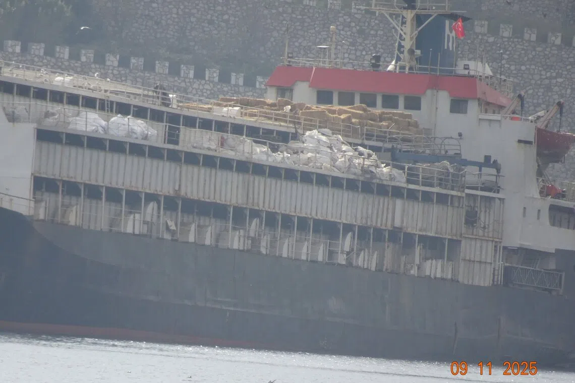 Forty-eight animals on the Spiridon II livestock carrier are thought to have died after being stranded for three weeks off the coast of Turkey.