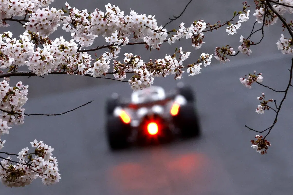A branch from a cherry blossom tree is pictured during the F1 practice at the Suzuka Circuit in Suzuka, Japan, on April 7, 2024 