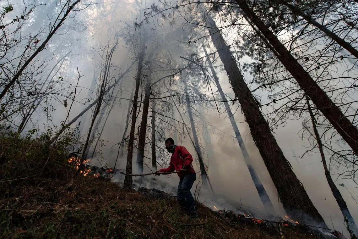 TOPSHOT - A man combats the fire on burned vegetation during a forest fire in Bojaca, Colombia, on September 20, 2024. (Photo by Alejandro Martinez / AFP)