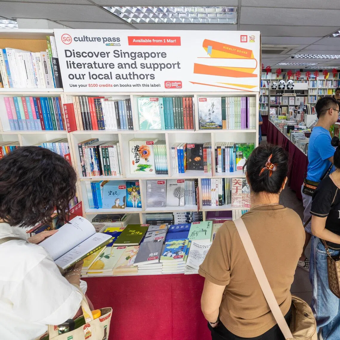 The SG Culture Pass book purchase initiative faces two challenges, says the writer: getting Singaporeans to give Singapore literature a chance; and getting people to actually pick up a book to read.