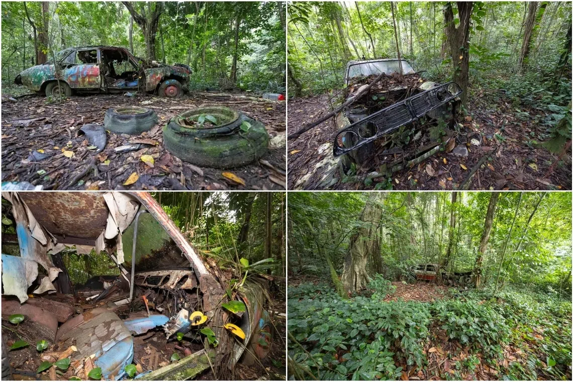 The cars were likely left behind when the village was vacated in the 1980s and 1990s. 