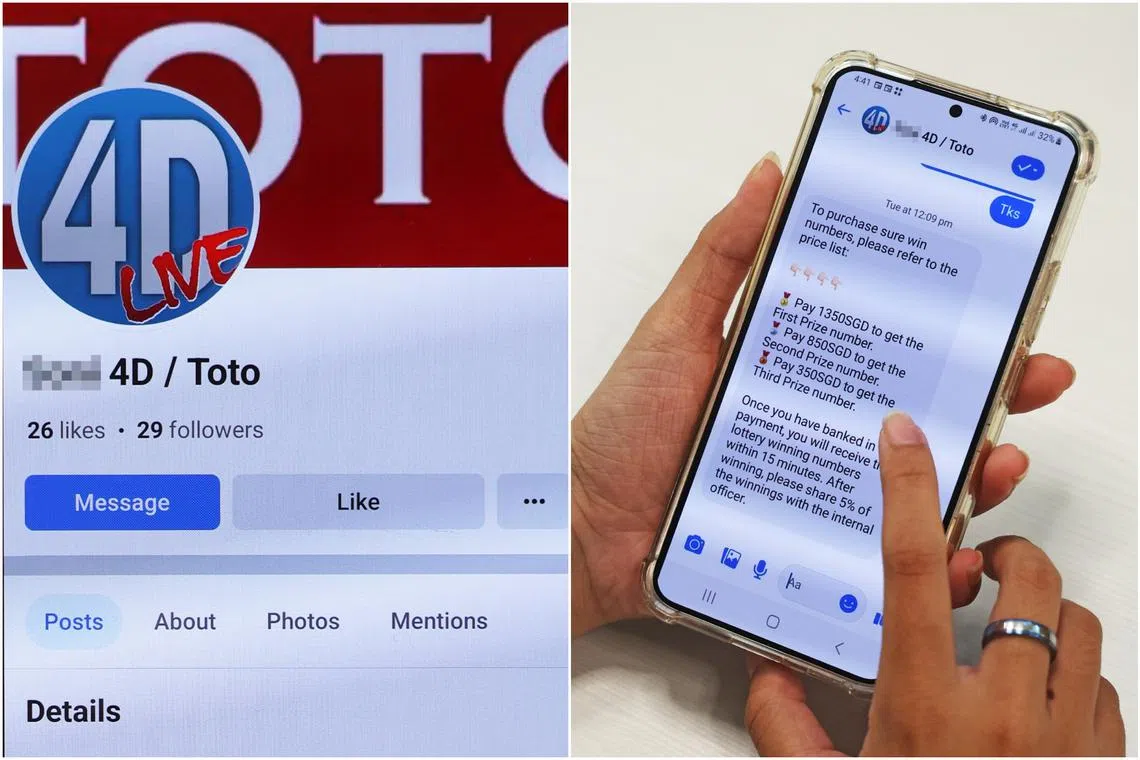 Mr Hu came across the ad on Facebook on June 19. It piqued his interest and he messaged the account given in the ad to find out more. 
