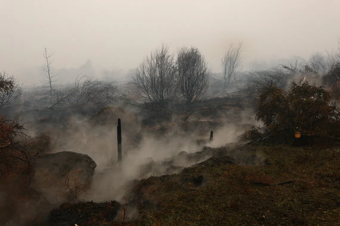 Smoke rising from burned soil next to charred trees in an area affected by a wildfire near Malmedy, Belgium, on Aug 16.