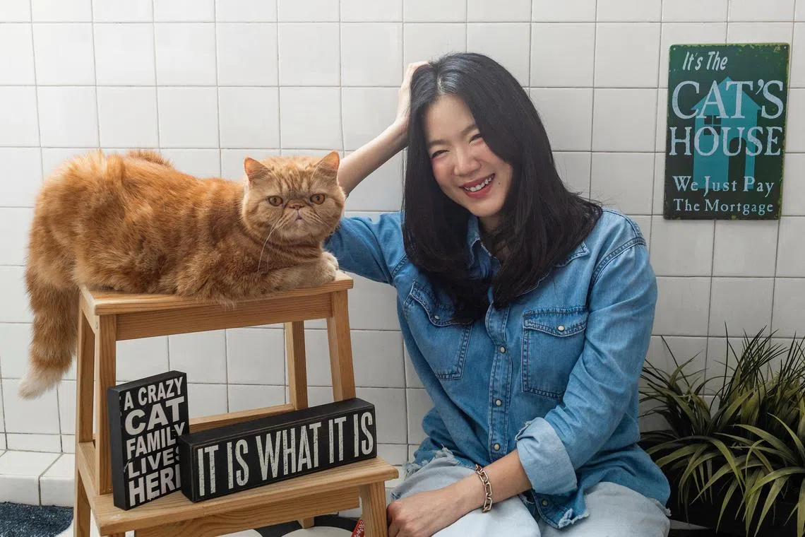 jsruien05 - Local actress Rui En and her four cats, Momo, Mei Mei, Mr Meowgi and Muffin.


Source/Copyright: RUI EN/JOSHUA PWEE