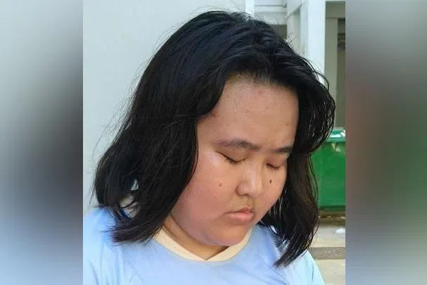 Ms Alena Chua Li Shan was last seen near Block 539 Bedok North Street 3.