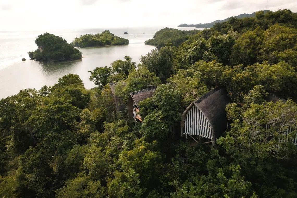 Manami Resort in Sipalay, Philippines review | The Straits Times