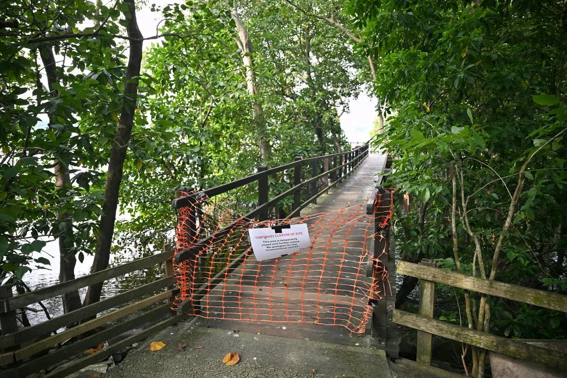 A sign stating that Platform 1 is temporary closed until further notice at Sungei Buloh Wetland Reserve on July 15, 2024.