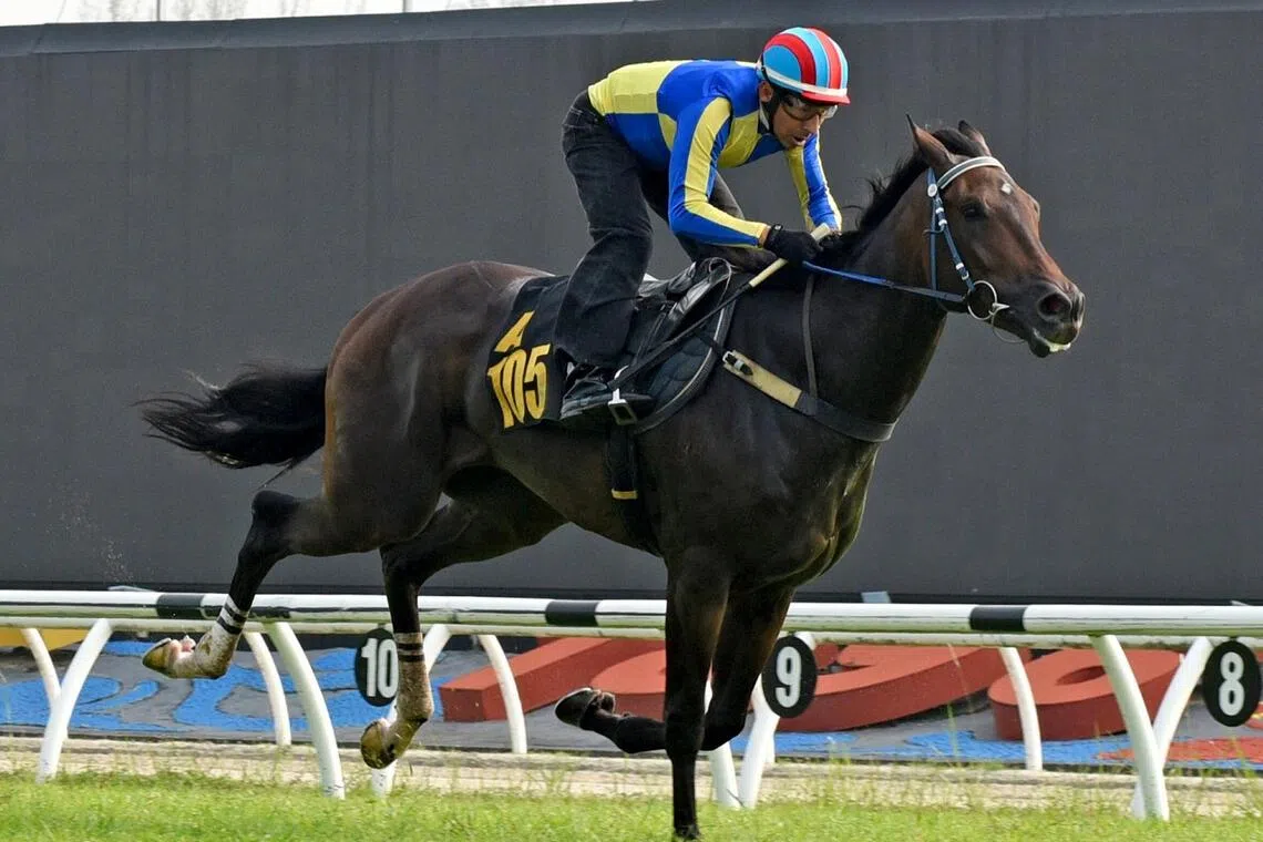 bmtrials15 - Fast Famous
PHOTO: SELANGOR TURF CLUB