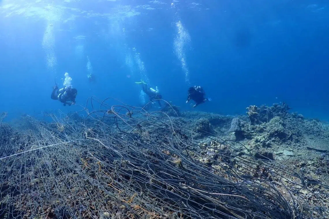 The annual Reef Check Malaysia survey on the health status and trends of coral reefs for Sabah had only started last week.
