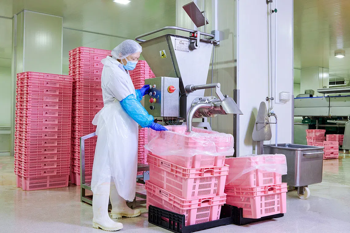kee song staff processing chicken heads necks and innards through a dedicated machine to turn poultry waste into pet food