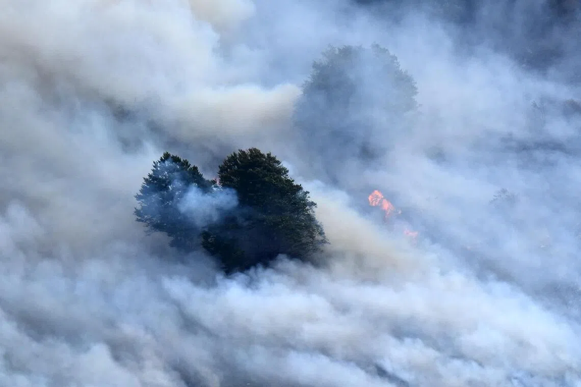 Wildfires are becoming a growing source of harmful air pollution even after reducing emissions from many developed countries.