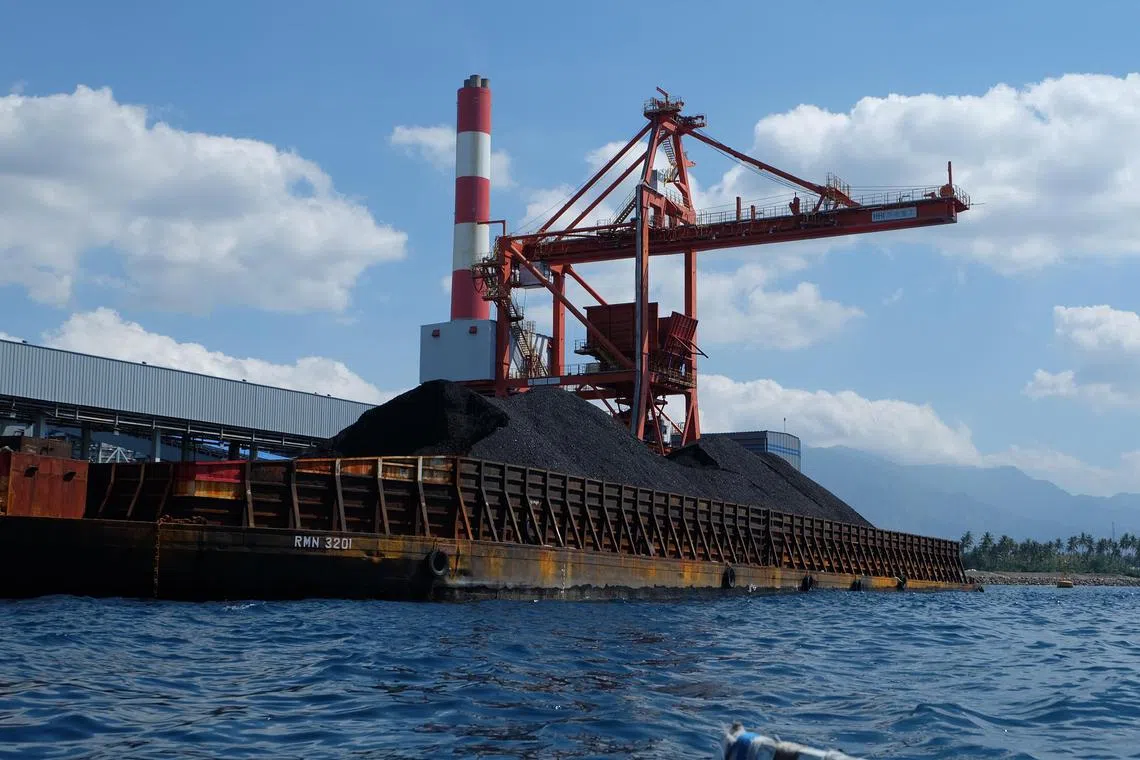 A mini mountain of coal bound for the Celukan Bawang power plant in Bali.