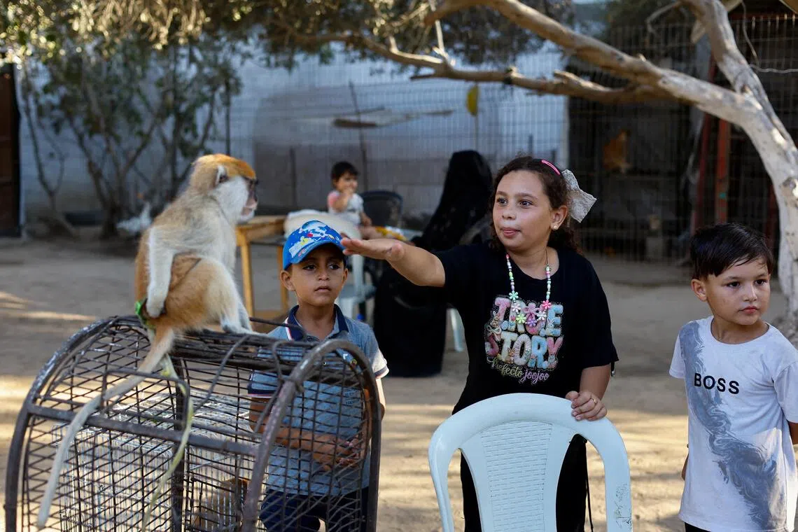 Young Palestinians stand near a monkey during a visiting to a zoo in Nuseirat, in the central Gaza Strip.