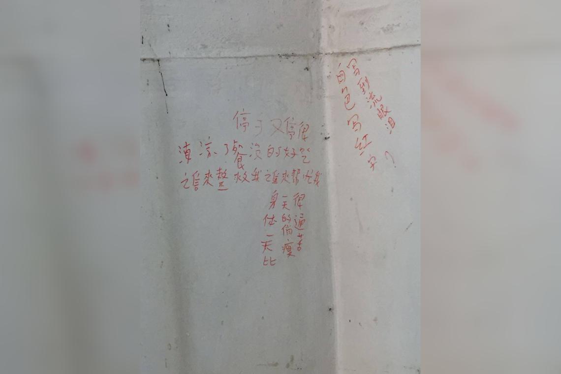 Volunteers uncovered words written by a hoarder on the walls of her flat. 