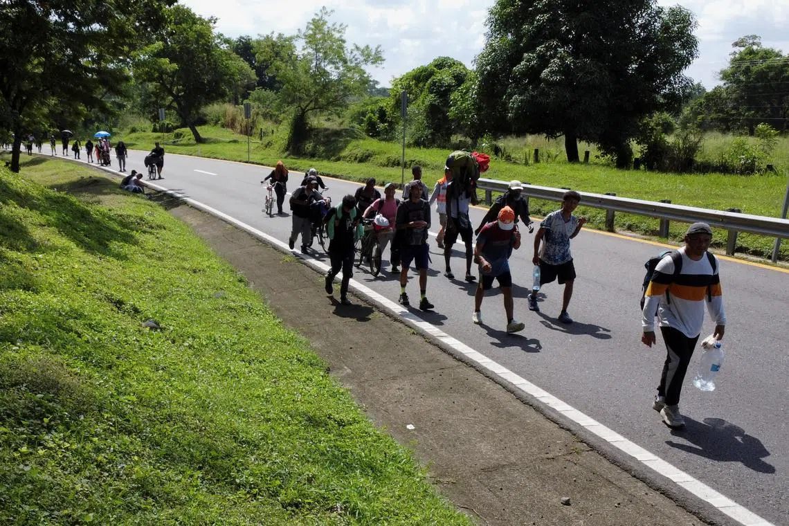 A drone view shows migrants in a caravan walking along a highway on their way to the U.S. border, in Escuintla, Mexico November 7, 2024. REUTERS/Daniel Becerril/File Photo