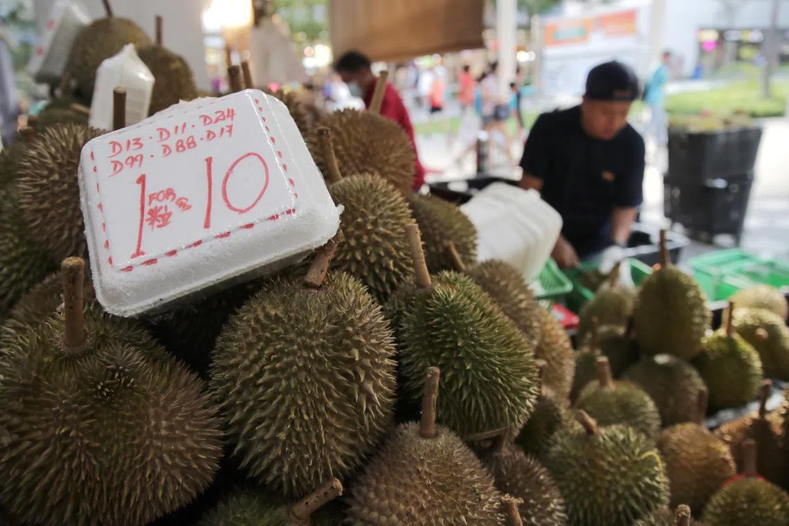 With increased diesel prices, sellers are finding it more expensive to transport fresh durians daily.