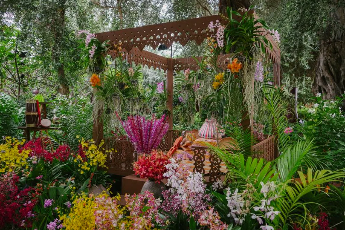 The display features over 600 orchids from over 15 native and hybrid species. 