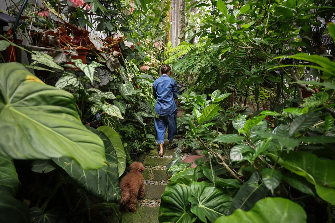 A garden can occupy several thousand square feet or a metre-wide balcony, says the writer.