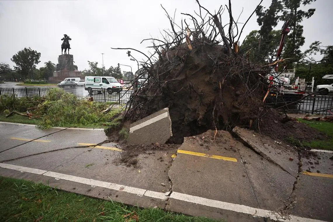Tree branches lie on the floor next to a bicycle lane damaged by a fallen tree, after a severe storm in Buenos Aires, Argentina, December 17, 2023. REUTERS/Agustin Marcarian
