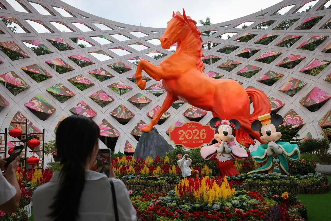 A preview of The Protector at Sentosa Sensoryscape's Tactile Trellis featuring:
•  8-metre Celestial Guardian Yanyang
• 2.5-metre Disney’s Mickey Mouse and Minnie Mouse figures
• Mini-garden layout with festive blooms featuring Celosia flowers