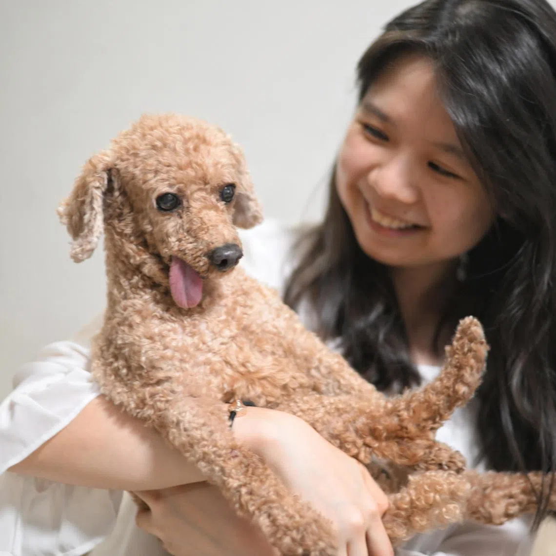 Ms bridget low, 26, assistant manager, with her toy poodle, Oscar.


