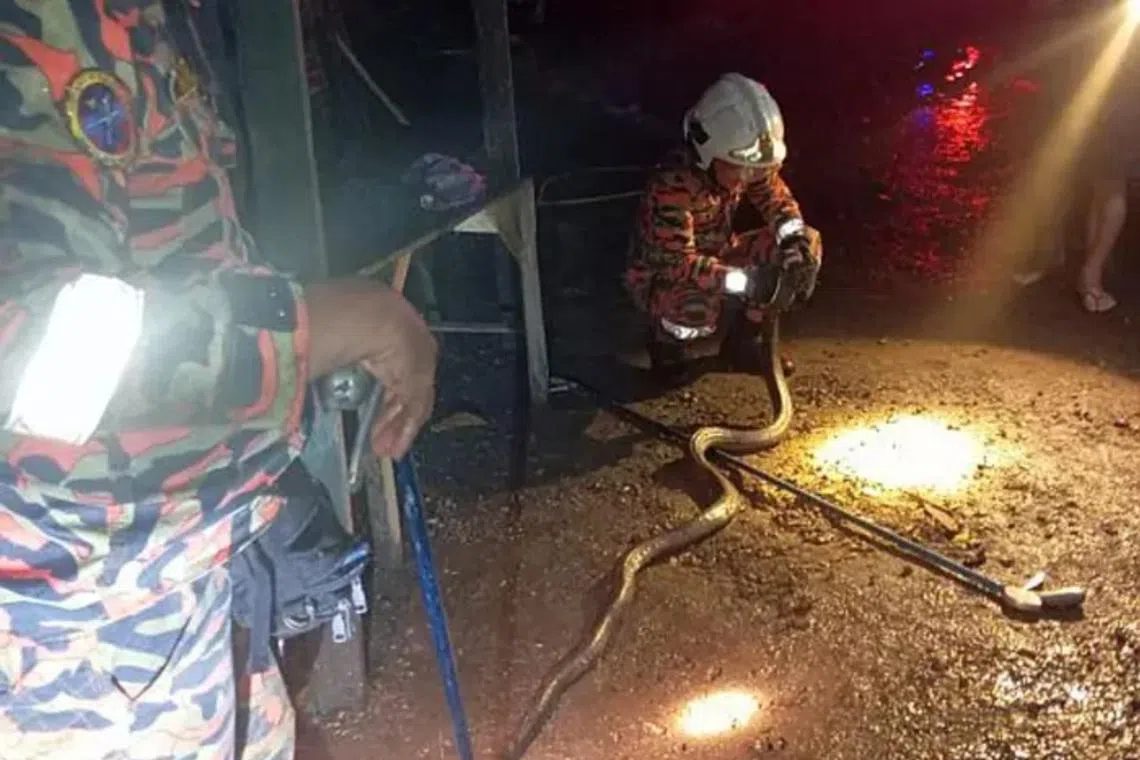 A team of five were rushed to Kampung Maukab Baru Lohan after receiving a distress call at around 8.30pm on Jan 28.