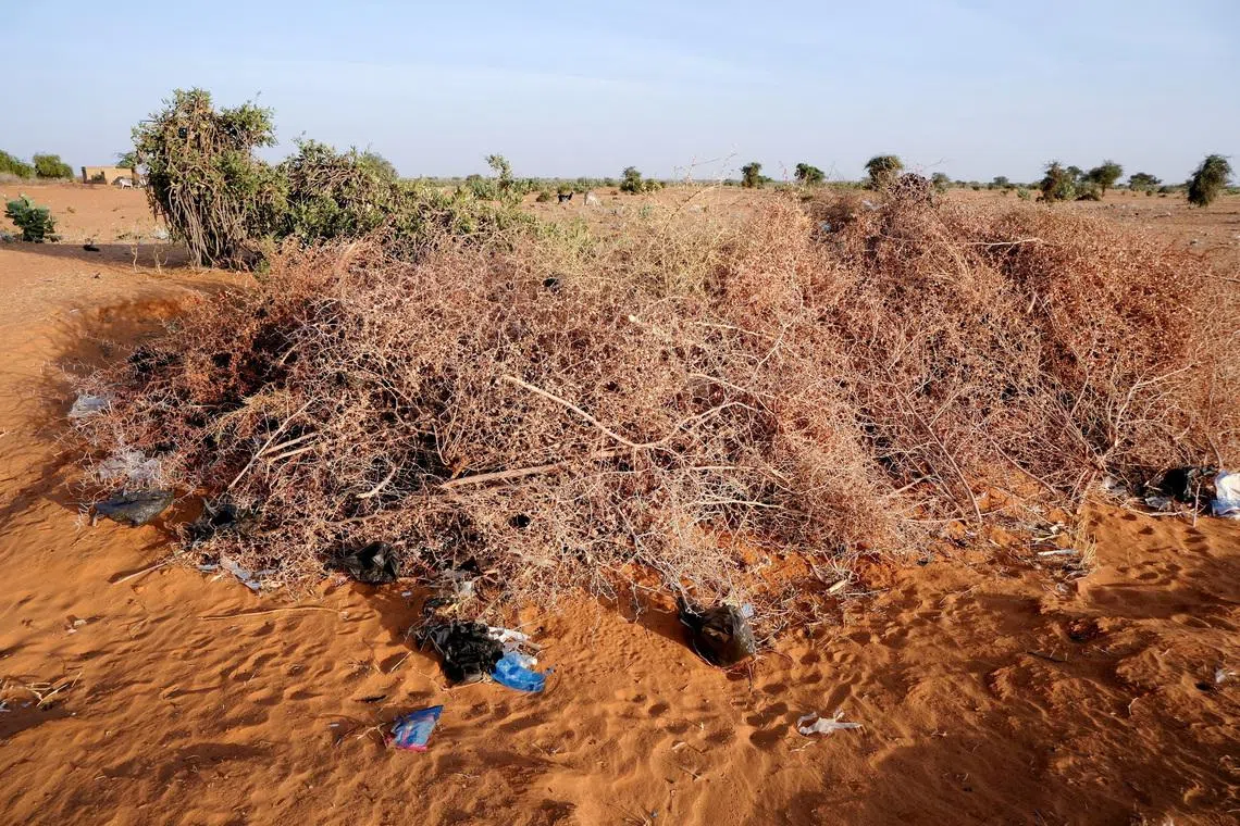 A burial site for the victims of a drone strike, in El Obeid, North Kordofan State, Sudan, January 14, 2026. REUTERS/El Tayeb Siddig