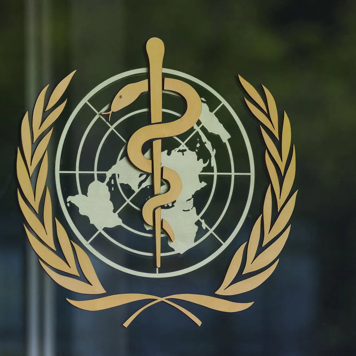 Logo of the World Health Organisation (WHO) on a glass panel at the WHO headquarters in Geneva, Switzerland, April 29, 2026. REUTERS/Denis Balibouse