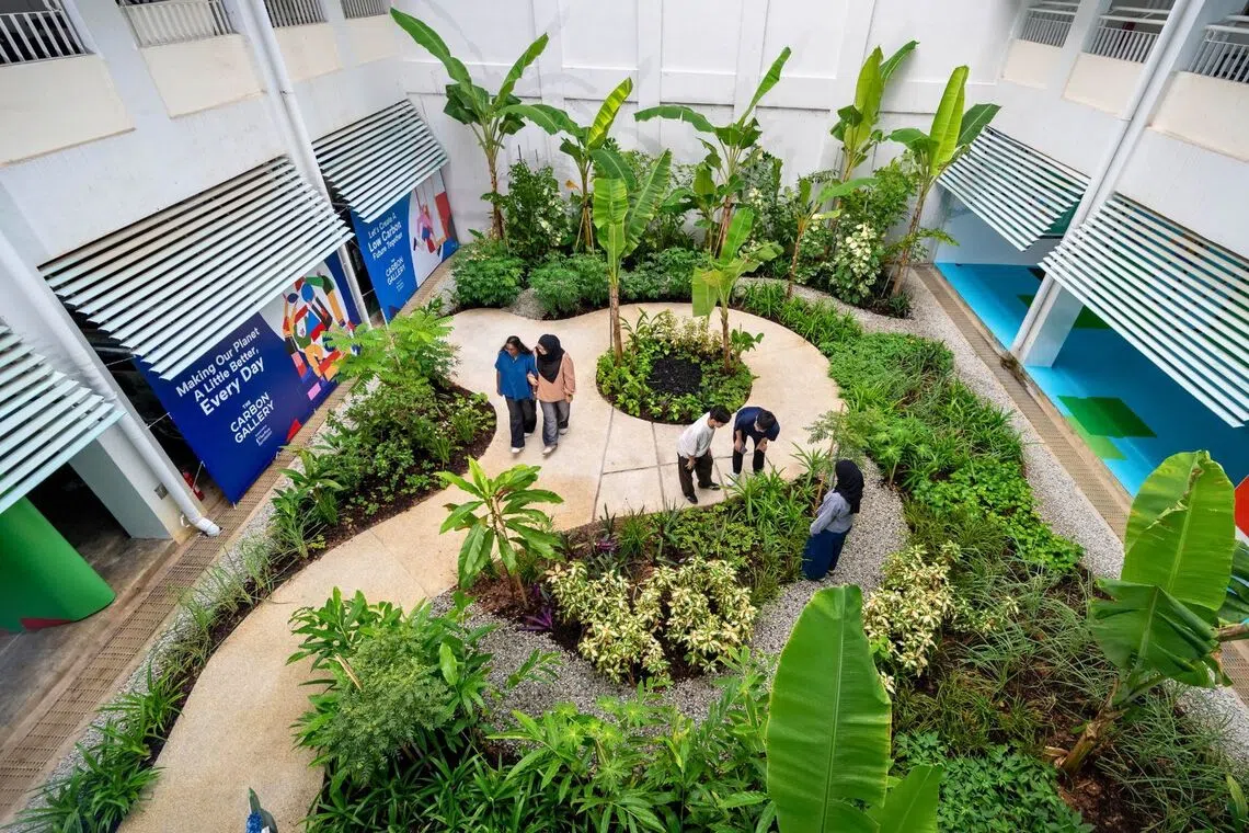 galería-carbono-ubicación-jardín