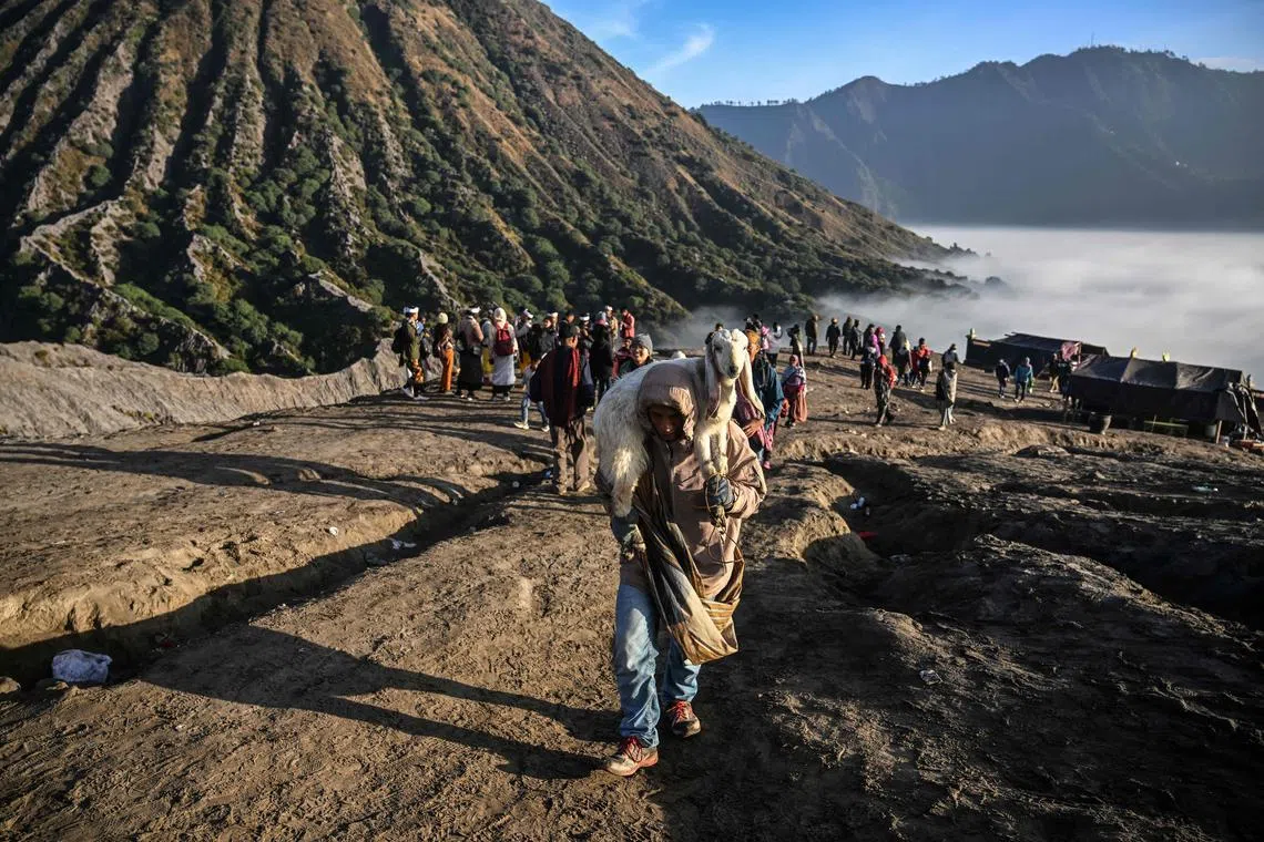 Members of the Tengger sub-ethnic group carries a goat for offering on the active Mount Bromo volcano in Probolinggo, East Java province, on June 5.