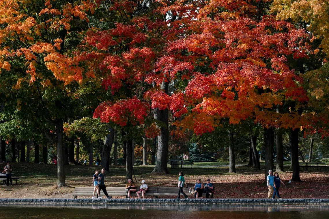 People walking near the Lac-aux-Castors at Mont-Royal in Montreal, Quebec, Canada, on Oct 05.